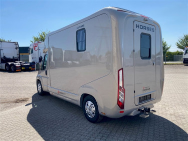 Opel Movano 4250 Kg Hästebil